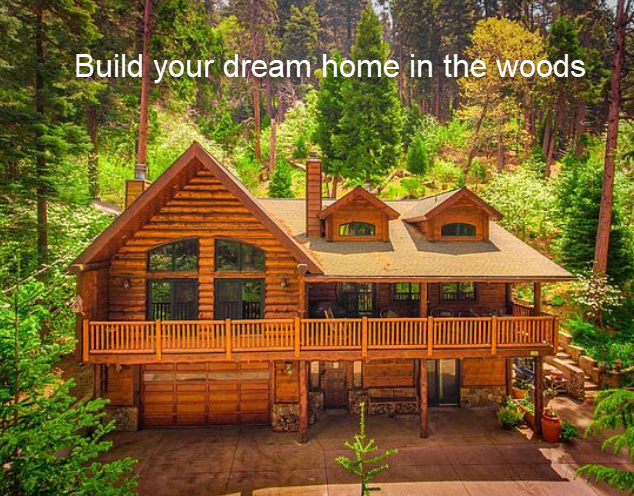 Dream home in the woods