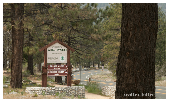 Wrightwood sign